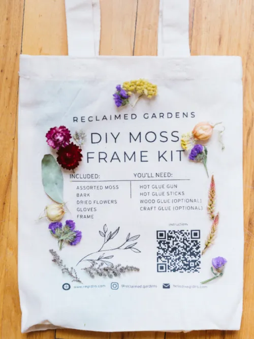 DIY Moss Art Kit