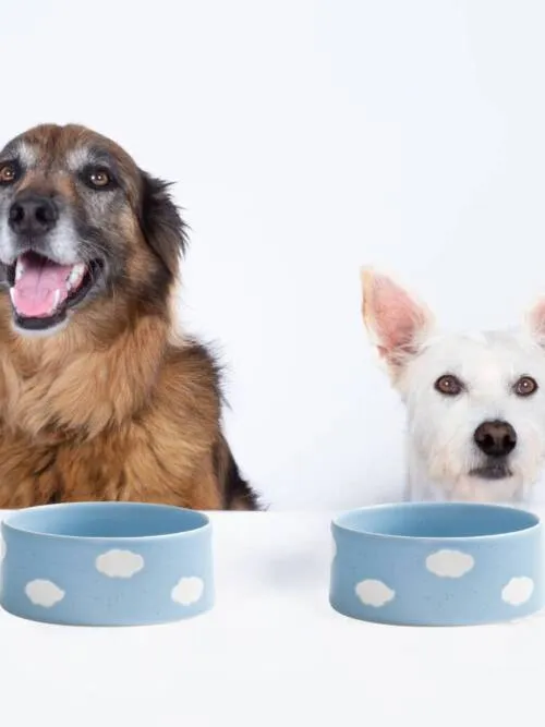 Cloud Pet Bowl 16,5cm 2 Pieces Set
