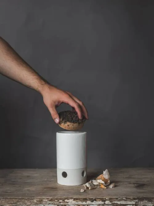 Garlic keeper/Garlic pot: White White