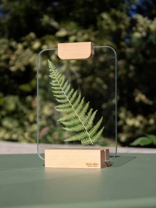 Wooden glass photo frame - Wood clip (made in France)