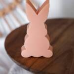 Easter bunny: Orange