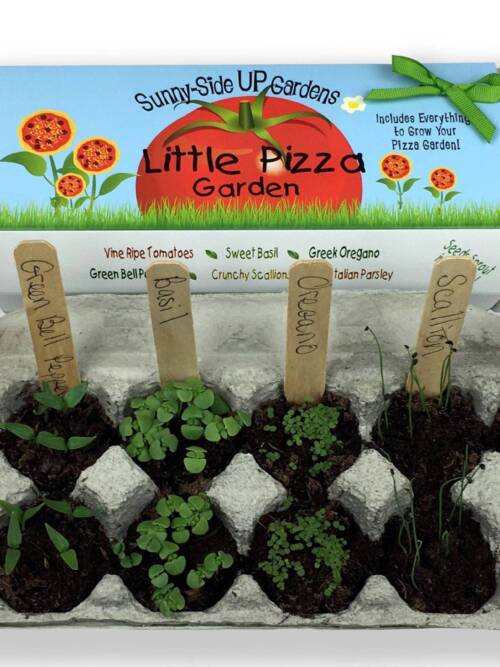 Little Pizza Garden Grow Kit
