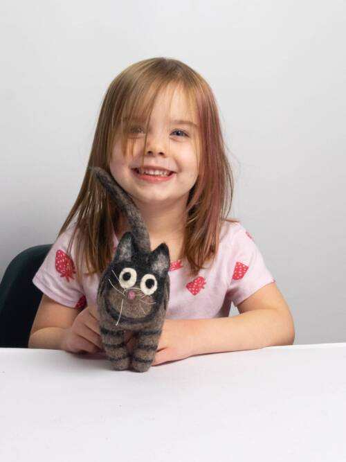 Cat - Black and Grey Stripe