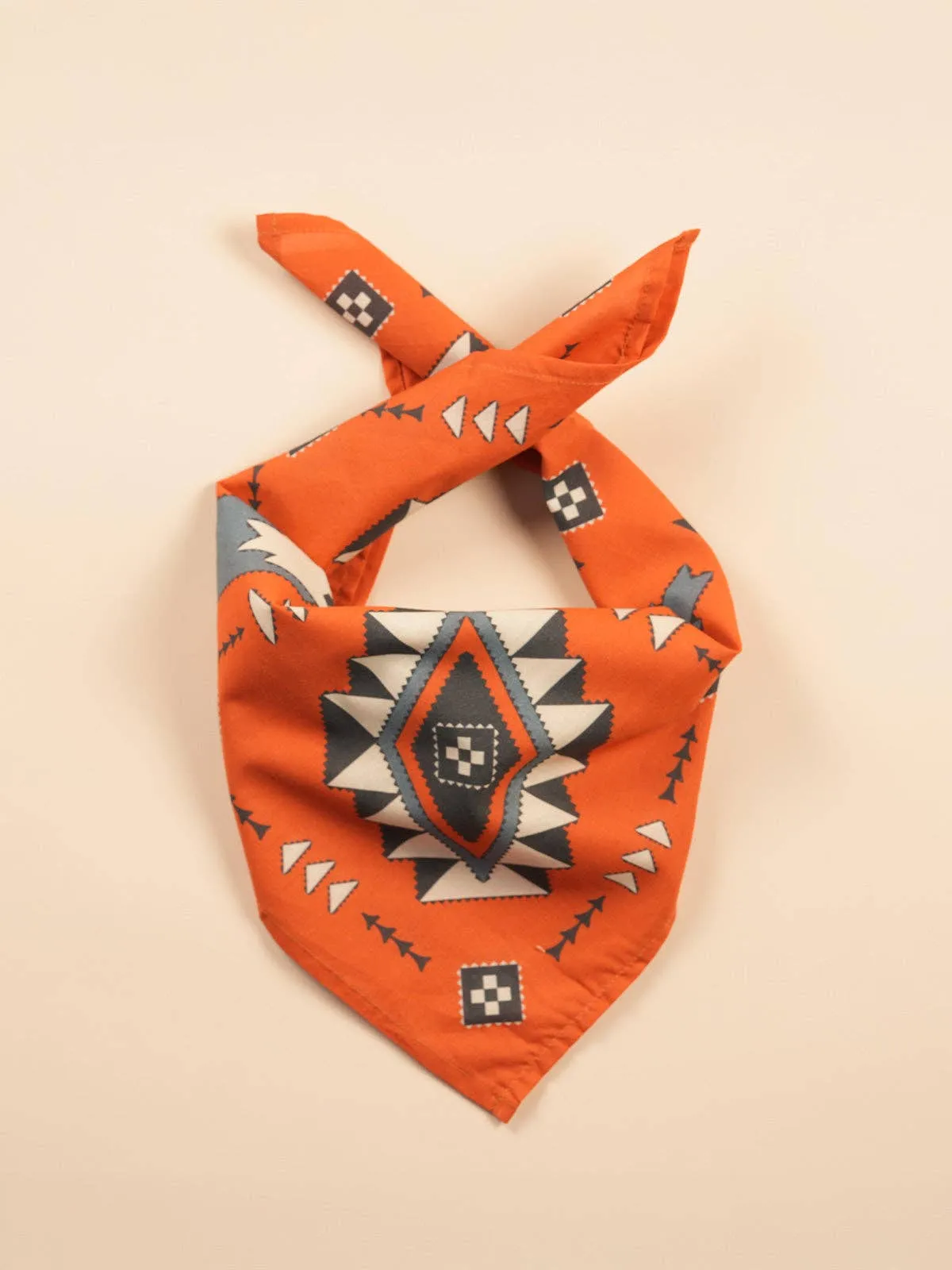 Western Geo Bandana