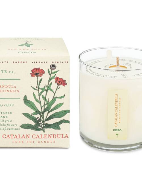 Catalan Calendula - Plant the Box Candle - 9oz.