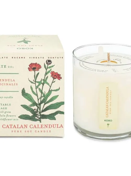 Catalan Calendula - Plant the Box Candle - 9oz.
