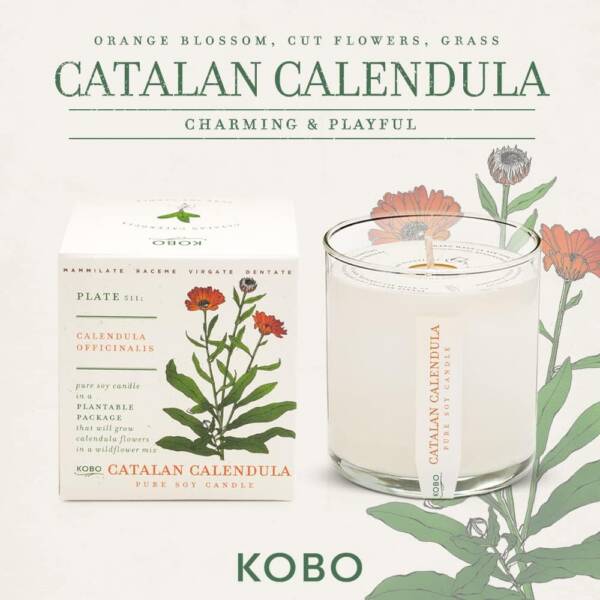 Catalan Calendula - Plant the Box Candle - 9oz. - Image 2