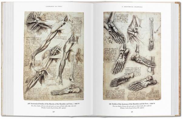 Leonardo, Drawings (Bibliotheca Ed) - Image 3