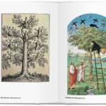 Alchemy & Mysticism Bibliotheca - Image 3