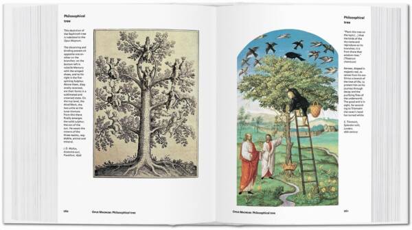 Alchemy & Mysticism Bibliotheca - Image 3