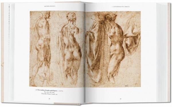 Michelangelo The Graphic Work - Image 2