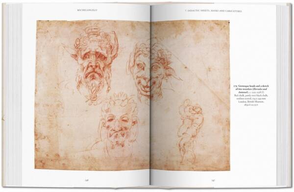Michelangelo The Graphic Work - Image 5