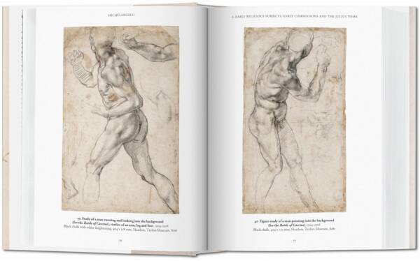 Michelangelo The Graphic Work - Image 7