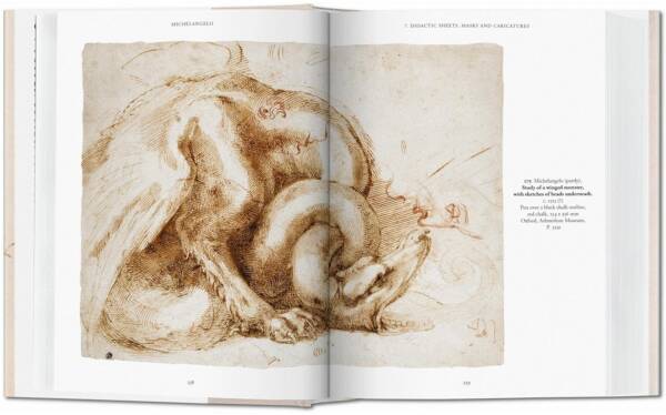 Michelangelo The Graphic Work - Image 3