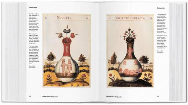 Alchemy & Mysticism Bibliotheca - Image 4
