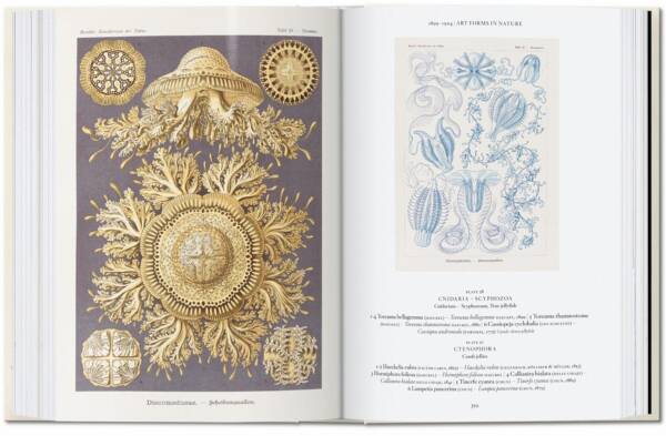 Art and Science of Ernst Haeckel (40th Ed) - Image 2