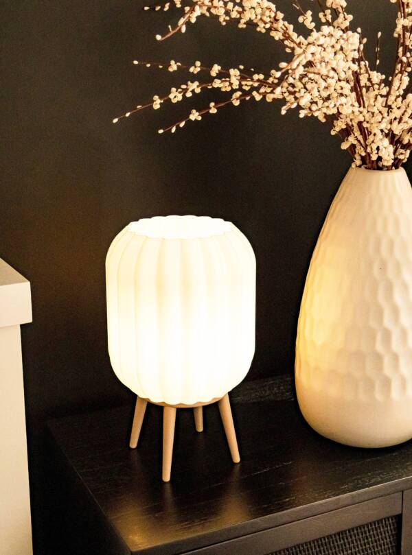 ANTHOS - Diffused Lighting for Livingroom & Bedroom - Image 5
