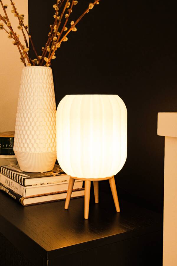 ANTHOS - Diffused Lighting for Livingroom & Bedroom - Image 2