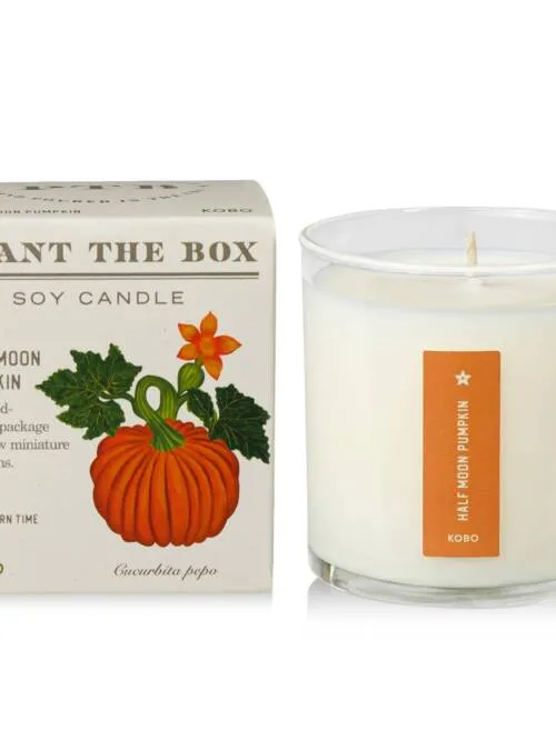 Half Moon Pumpkin - Plant the Box Candle - 9oz.