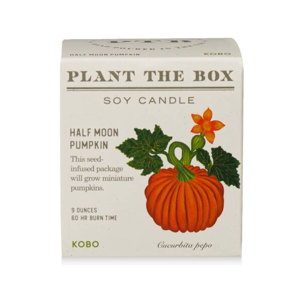 Half Moon Pumpkin - Plant the Box Candle - 9oz. - Image 3