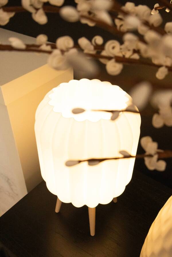 ANTHOS - Diffused Lighting for Livingroom & Bedroom - Image 6