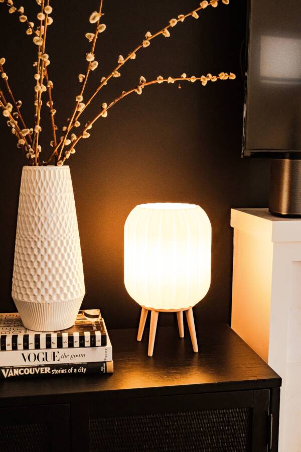 ANTHOS - Diffused Lighting for Livingroom & Bedroom - Image 3
