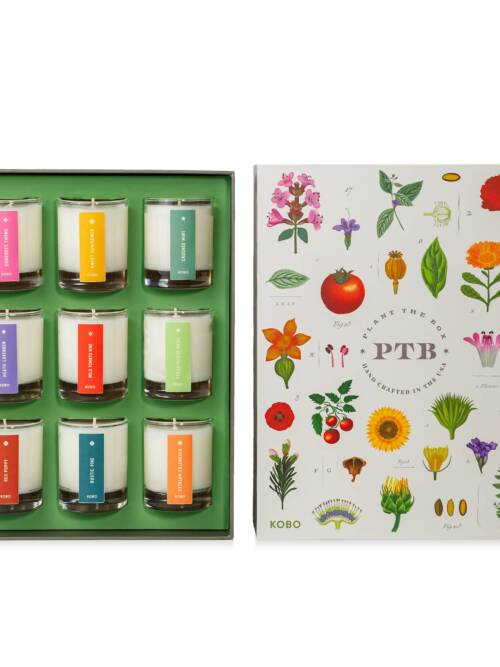Plant the Box Votive Gift Set