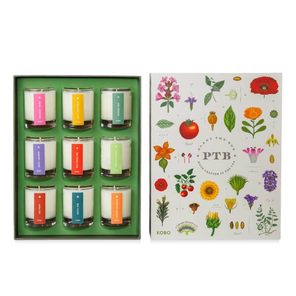 Plant the Box Votive Gift Set