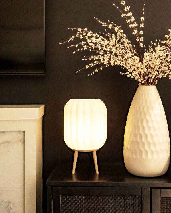 ANTHOS - Diffused Lighting for Livingroom & Bedroom - Image 4