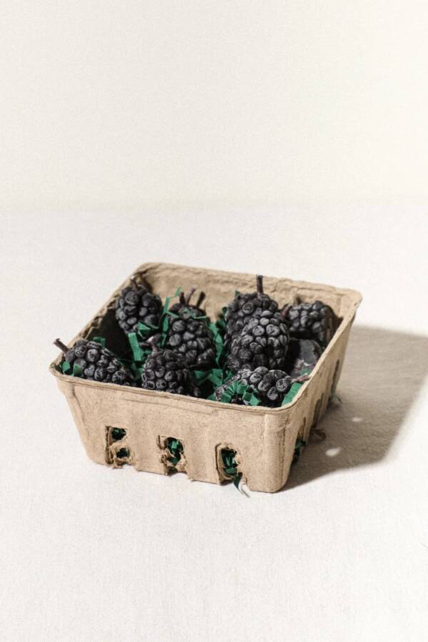 Beeswax Blackberry Birthday Candles: 10