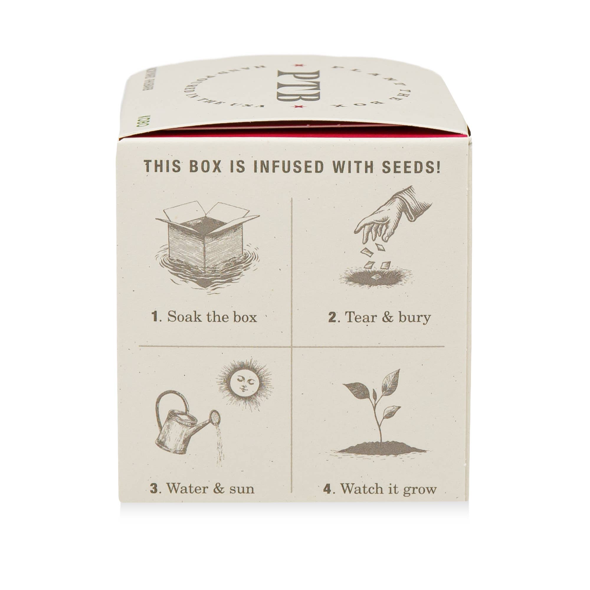 Backyard Rhubarb - Plant the Box Candle - 9oz. - Image 6