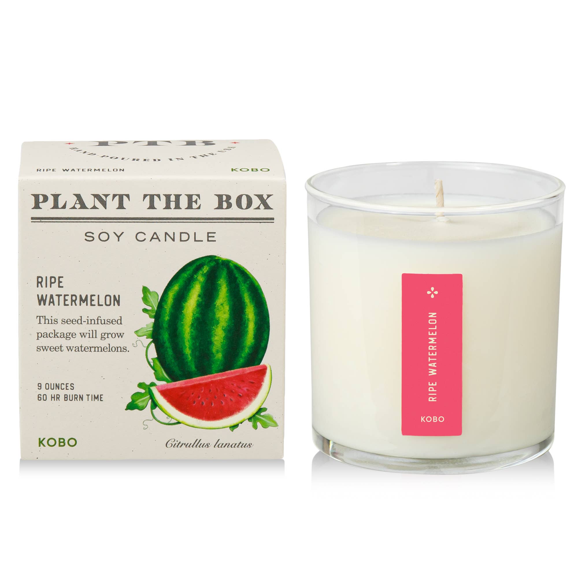 Ripe Watermelon - Plant the Box Candle - 9oz.