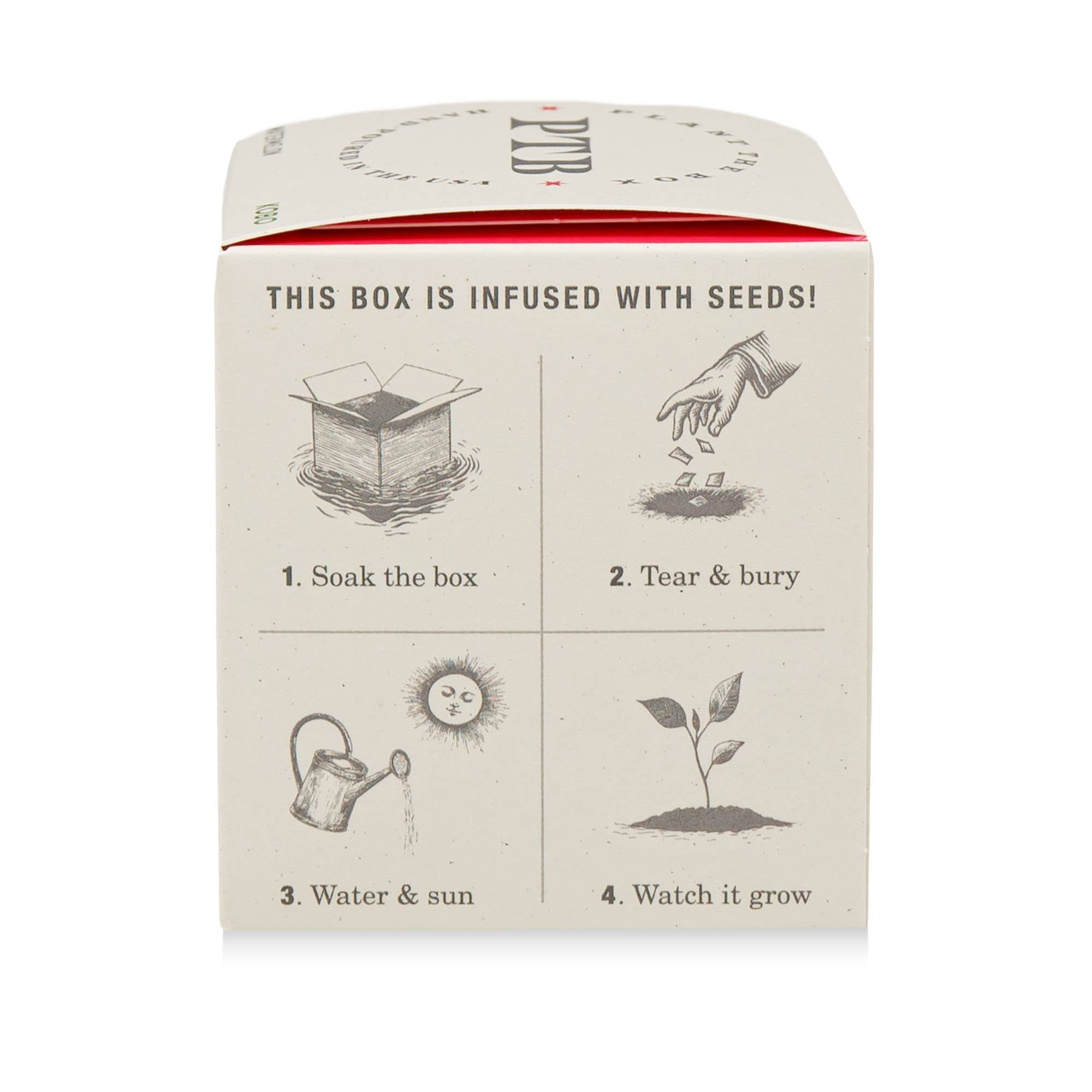 Ripe Watermelon - Plant the Box Candle - 9oz. - Image 4