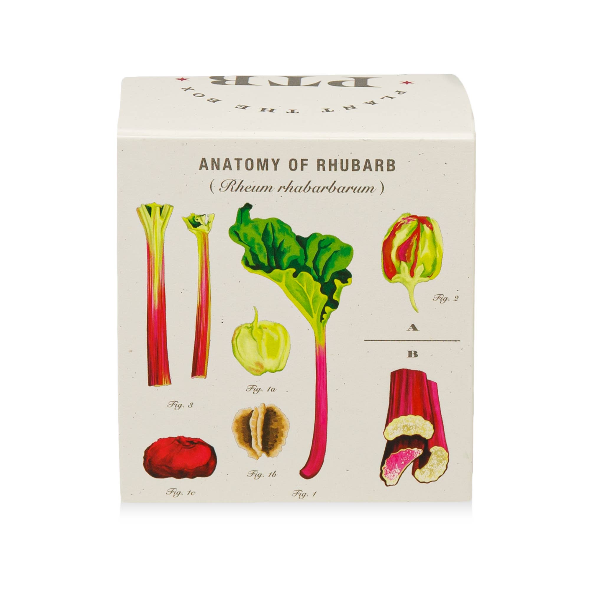 Backyard Rhubarb - Plant the Box Candle - 9oz. - Image 3