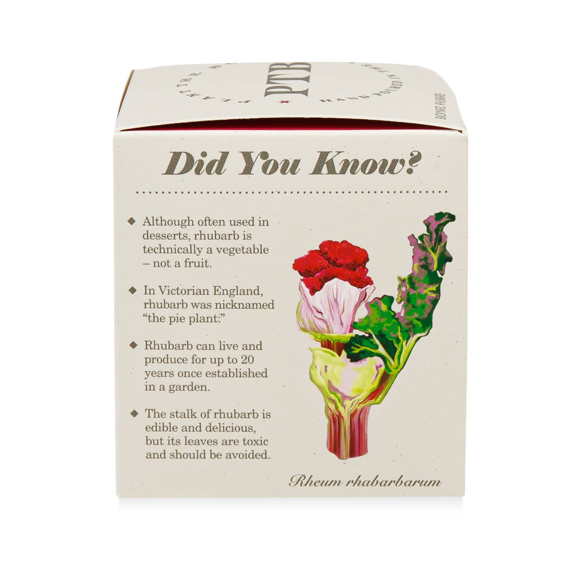 Backyard Rhubarb - Plant the Box Candle - 9oz. - Image 5